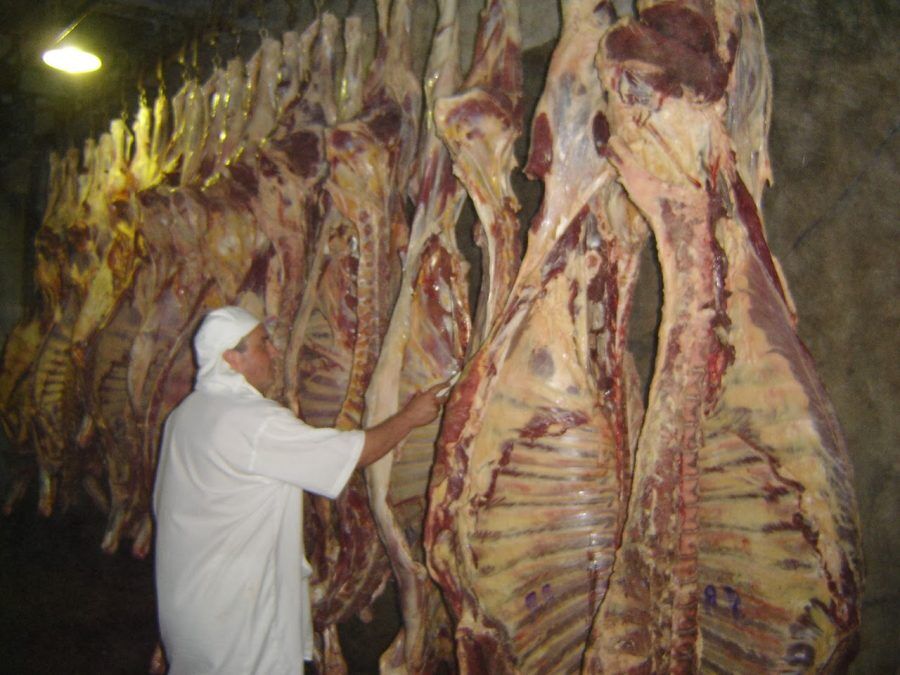 IX – COMO FIZERDES A VOSSOS IRMÃOS…