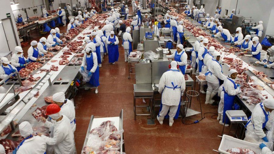 VIII – O COMBUSTÍVEL SECRETO