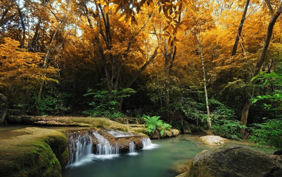 UM NOVO MODO DE VIVER