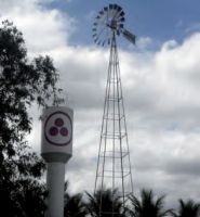 paz e amor bicho-23.jpg.thumb