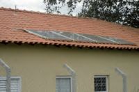 paz e amor bicho-24.jpg.thumb