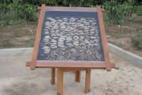 paz e amor bicho-27.jpg.thumb