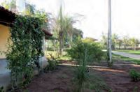 paz e amor bicho-29.jpg.thumb