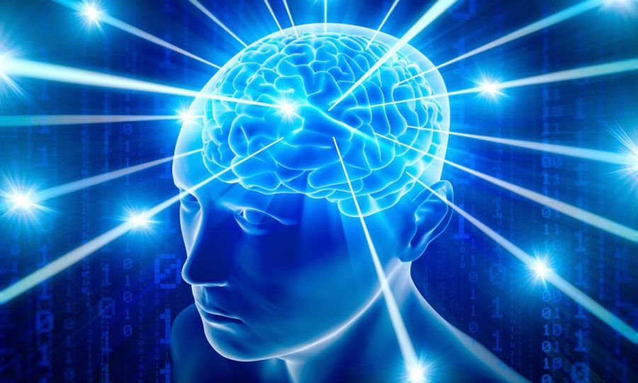 AS CONEXÕES FÍSICAS DO CÉREBRO