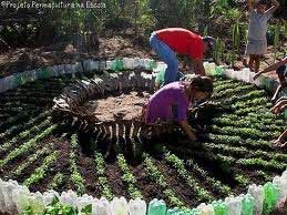 etica-na-permacultura