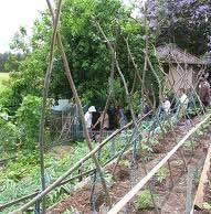 permacultura-no-brasil