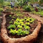 permaculturano-mundo