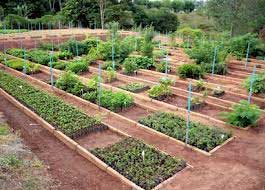 planejamento-permacultural