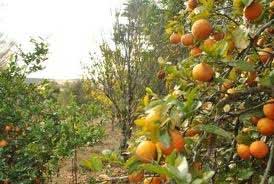 principios-da-permacultura