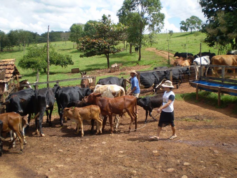 INTEGRAÇÃO DE PLANTAS E ANIMAIS