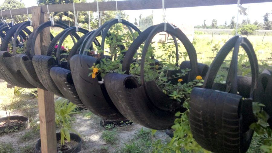 MANUAL DA RECICLAGEM