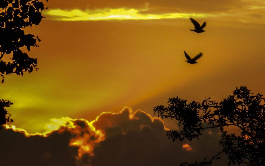 ORAÇÃO PARA O AMANHECER