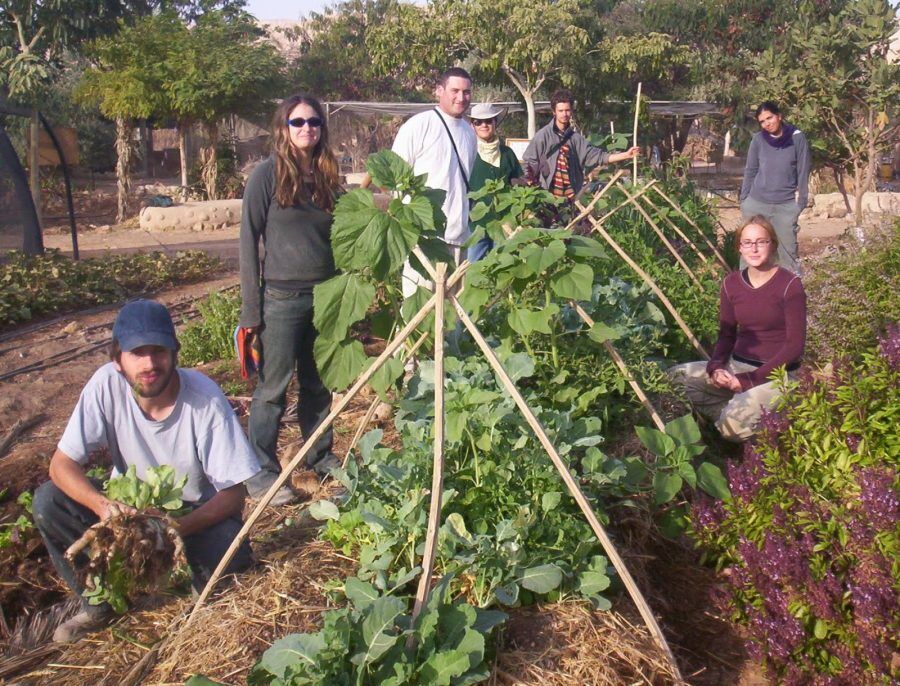 PRINCÍPIOS DA PERMACULTURA