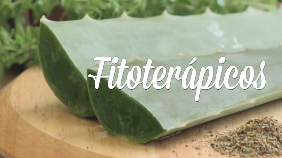 FITOTERÁPICOS COMO ALTERNATIVA DE TRATAMENTO