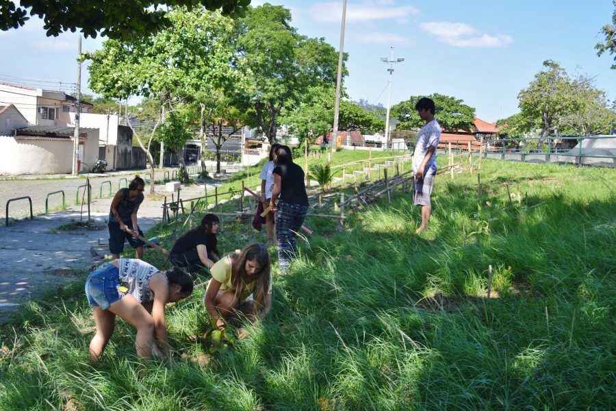 HISTÓRICO DA PERMACULTURA