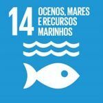 Conservação e uso sustentável dos oceanos, dos mares e dos recursos marinhos para o desenvolvimento sustentável