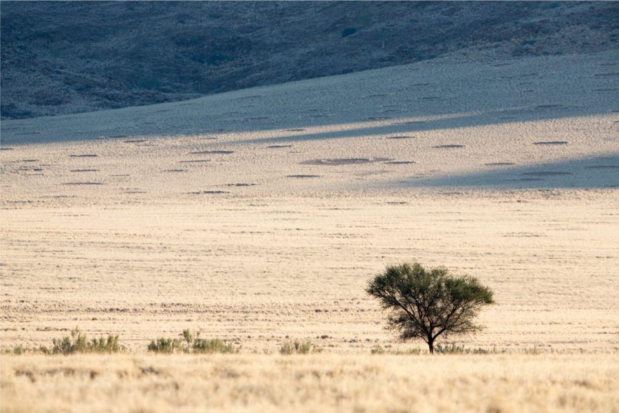 A revolução silenciosa
